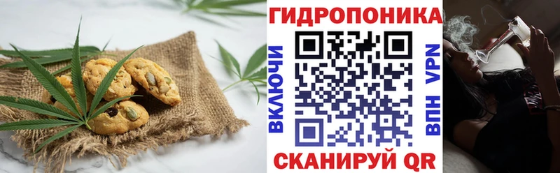 Печенье с ТГК конопля  Купить где  Новая Ляля 
