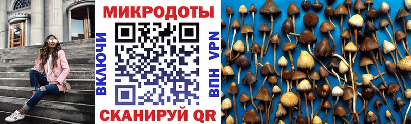 Купить закладки  Новая Ляля  Галлюциногенные грибы мицелий 